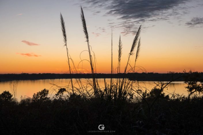 Coucher de soleil sur le lac d&#039;Arjuzanx