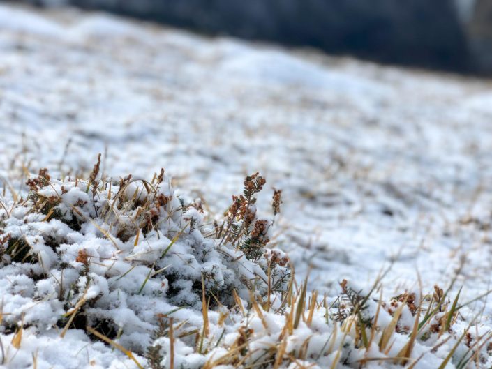 Randonnée au Plaa Dou Soum dans les Pyrénées