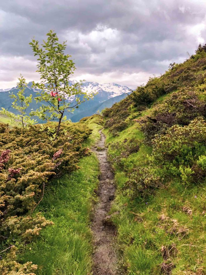 Ce type de chemin...