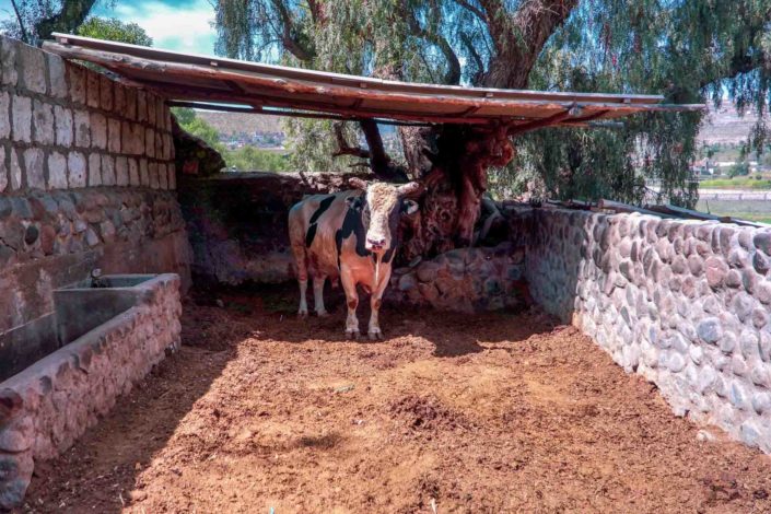 Le moulin de Sabendia à Arequipa