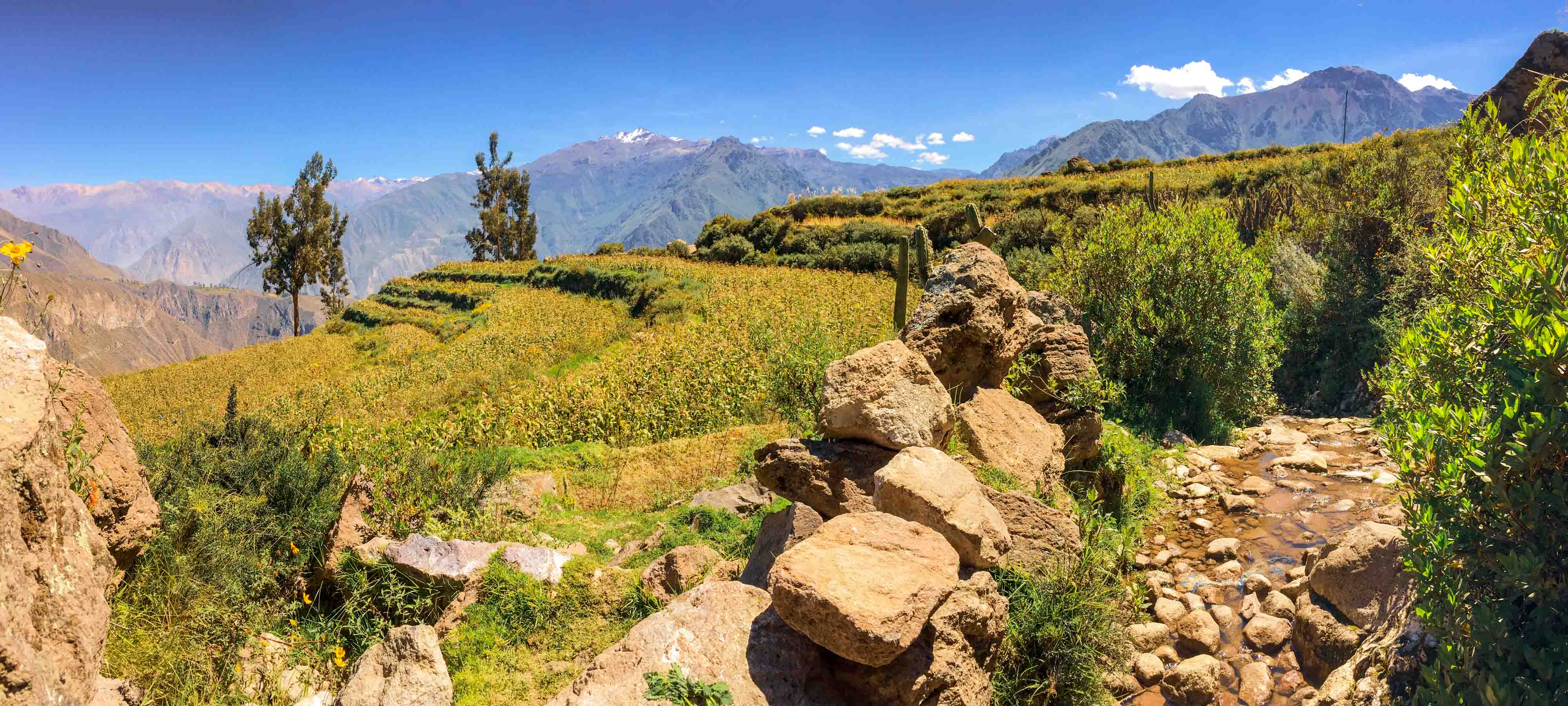 Le Canyon de Colca