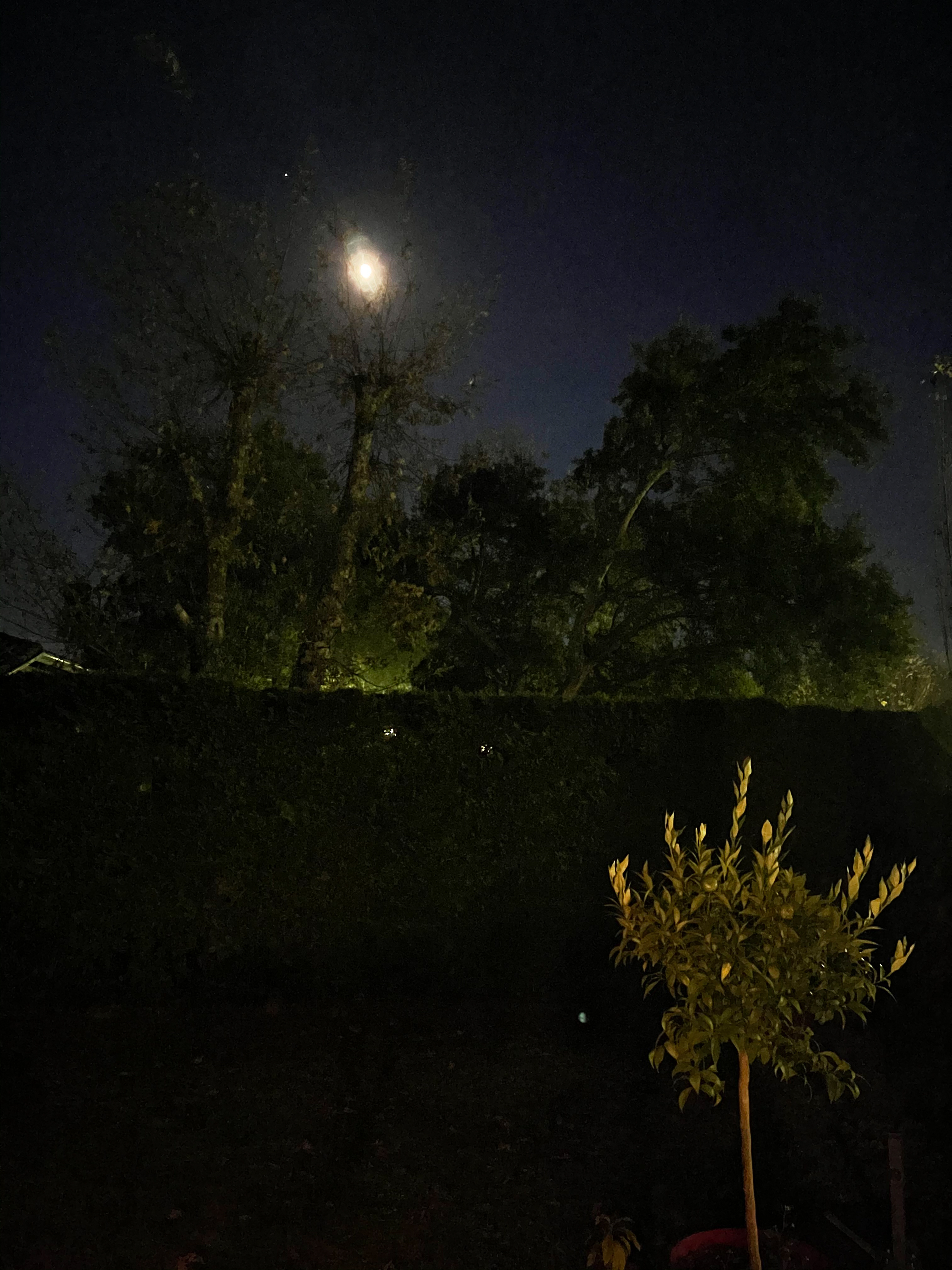 Photo de nuit prise à l'Phone 12 Pro Max - mode nuit désactivé