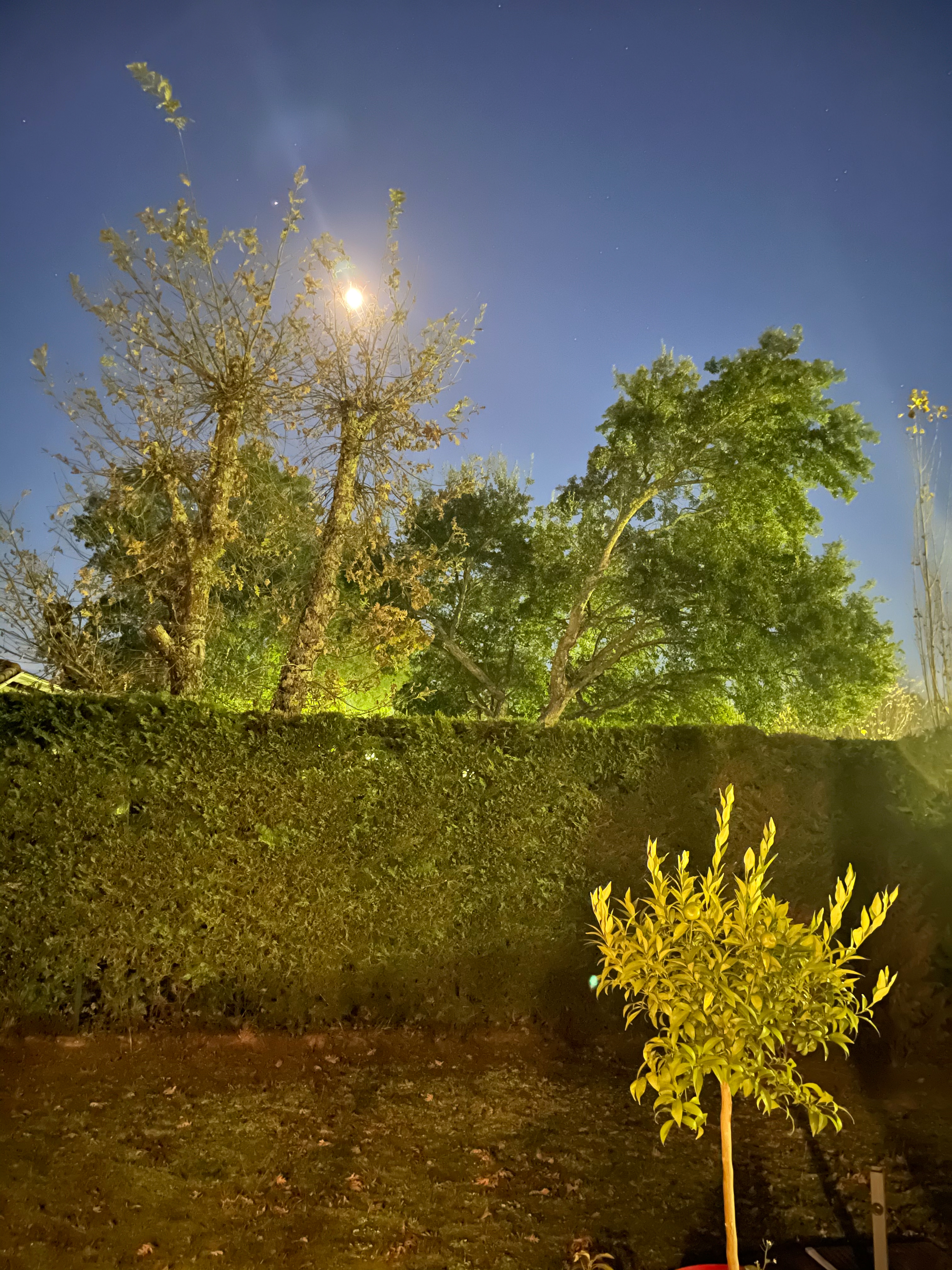Photo de nuit prise à l'Phone 12 Pro Max - mode nuit au max
