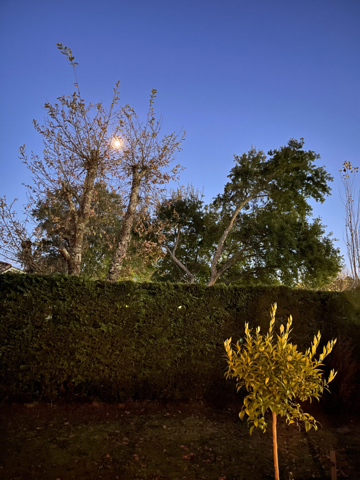 Photo de nuit prise à l&#039;Phone 12 Pro Max