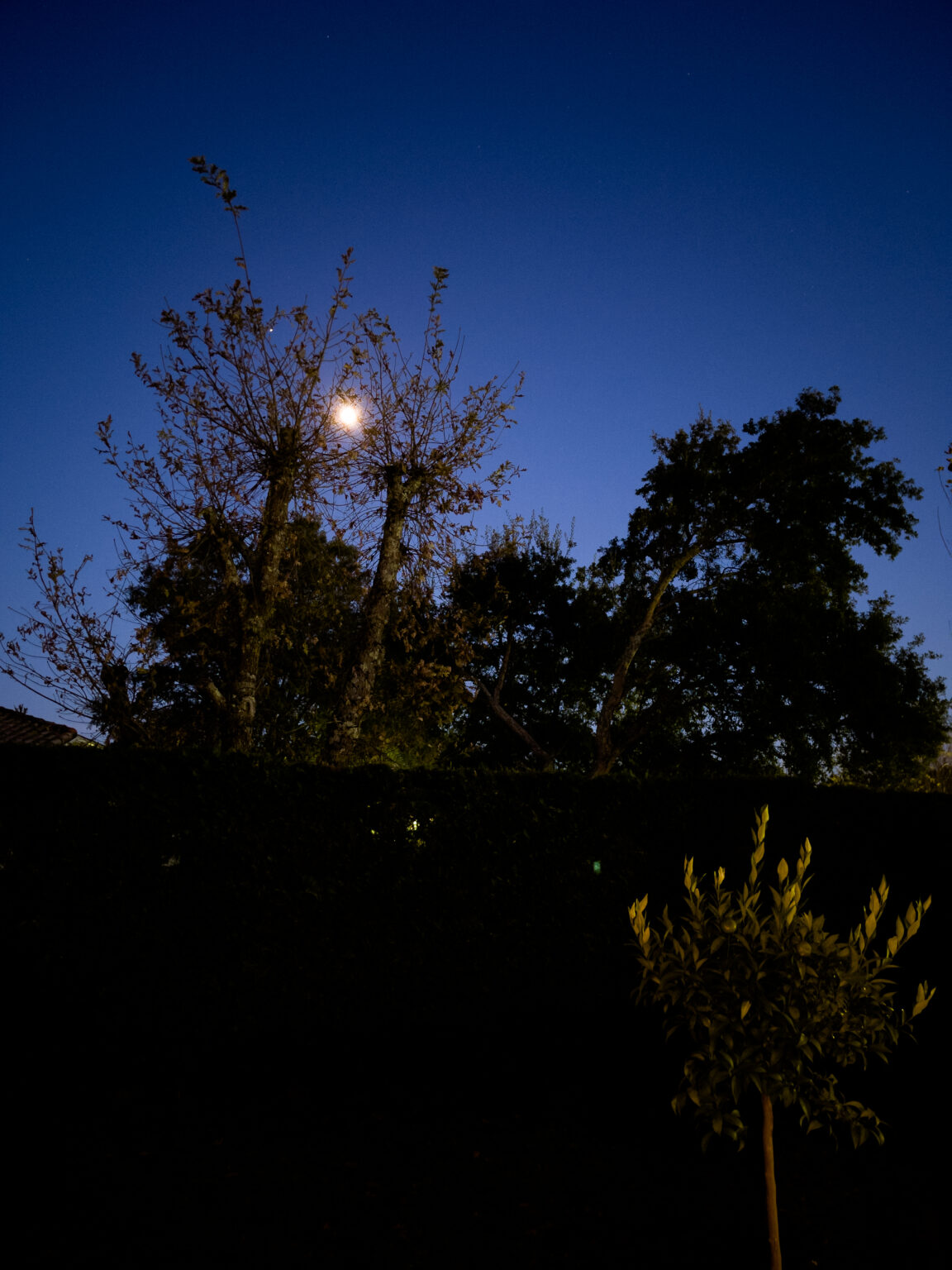 Photo de nuit prise à l&#039;Phone 12 Pro Max au format Apple ProRAW
