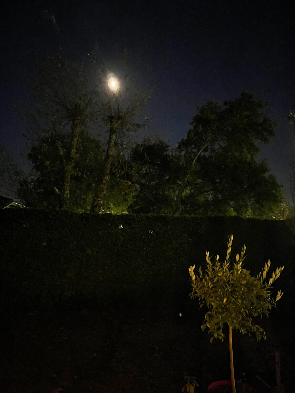 Photo de nuit prise à l&#039;Phone 12 Pro Max - mode nuit désactivé