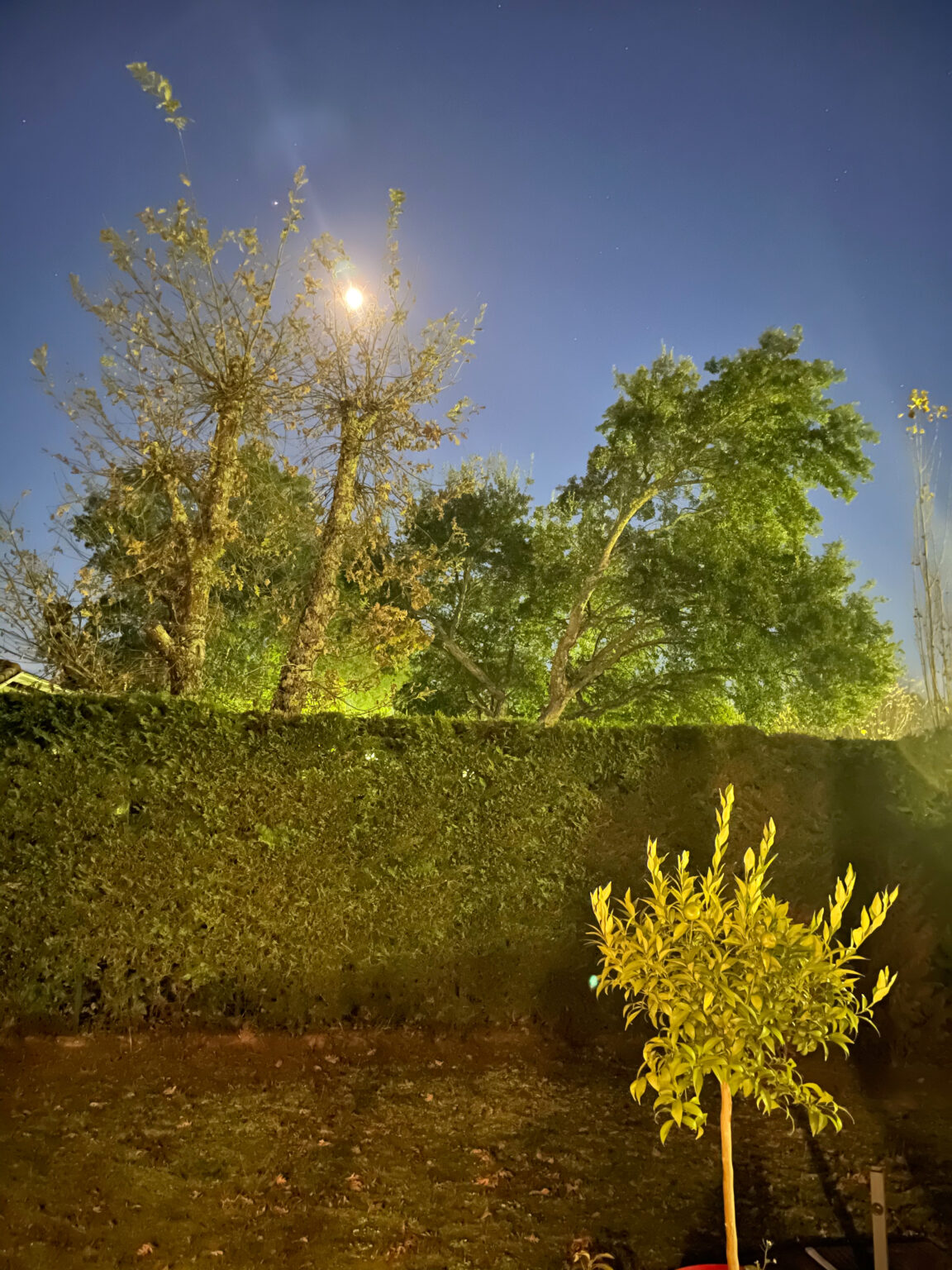 Photo de nuit prise à l&#039;Phone 12 Pro Max - mode nuit au max