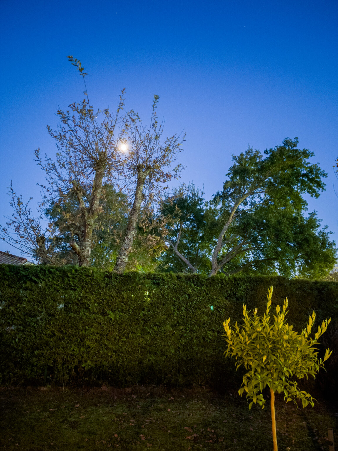 Photo de nuit prise à l&#039;Phone 12 Pro Max au format Apple ProRAW