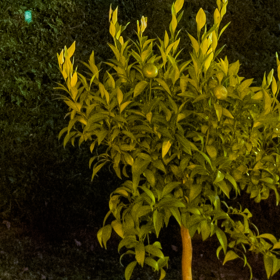 Photo de nuit prise à l'Phone 12 Pro Max - CROP
